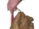 un oiseau rose perché sur un rocher, sur fond blanc