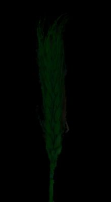 a green flower that is glowing in the dark