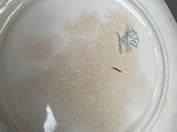 a white plate with a design on it sitting on a table