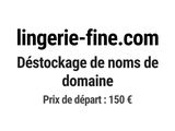 Photo 1/1 du lot