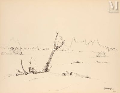 dessin représentant un arbre solitaire dans un champ désertique, avec une montagne en arrière-plan