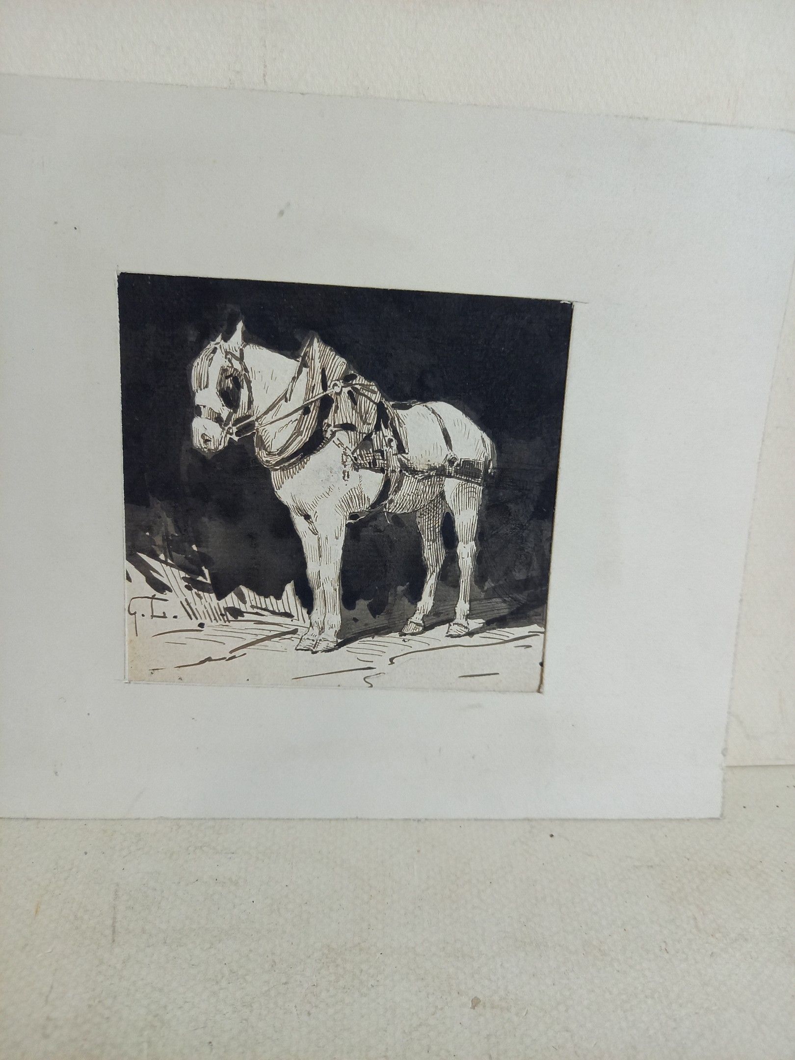 Objets d'art & Curiosités