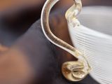 a white bowl and a gold spoon on a table