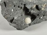 a piece of rock with holes in it on a white surface