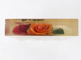 a glass box with a rose in it on a white surface