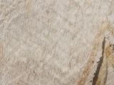 a close up of a piece of paper with a drawing on it