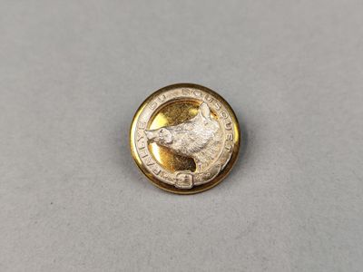 gros plan d'une pièce de monnaie sur une table à fond blanc