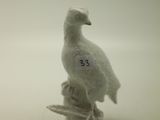 un oiseau blanc perché sur une table
