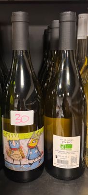 Des bouteilles de vin sont alignées sur une étagère dans une cave à vin
