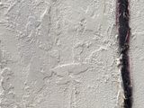 a close up of a painting of a tree on a wall