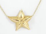 a gold plated necklace with a star pendant on a chain