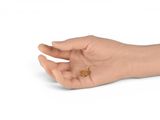 a hand that is holding a small piece of food