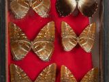 a lot of butterflies that are in a shadow box