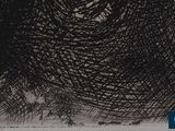 an image of a black and white drawing of a bird