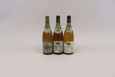 trois bouteilles de vin posées les unes à côté des autres sur une surface blanche