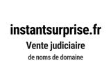 Photo 1/1 du lot