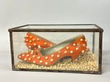 an image of a pair of orange shoes in a glass box