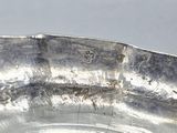a close up of a silver plate with a bug on it