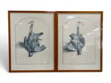 two framed pictures of a cat and a bird on a white background