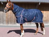 un cheval debout dans la terre, recouvert d'une couverture