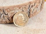 a gold coin sitting on top of a piece of wood