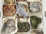 de nombreux types de roches différents dans une boîte