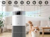 un chat debout devant un purificateur d'air, sur un parquet