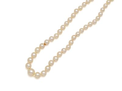 gros plan d'un collier de perles sur fond blanc