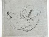 un dessin représentant une banane sur une feuille de papier