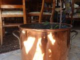 un grand pot en cuivre contenant une plante, posé sur une table