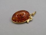 an image of a pendant with a brown stone in the middle