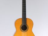a close up of a guitar on a white background