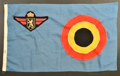 un drapeau sur lequel figurent un cercle rouge, jaune et bleu