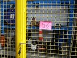 un portail jaune sur lequel est accrochée une pancarte indiquant « 24 »