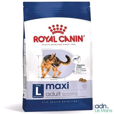 Royal Canin Maxi Adult : croquettes pour chiens adultes