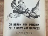 Photo 6/8 du lot