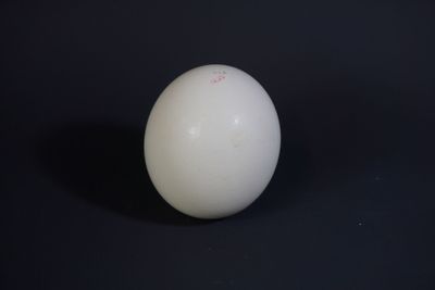 une boule blanche posée sur une surface noire