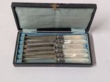 five knives in a box with a silver handle