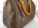 louis vuittoupe speedy bag in brown and tan leather
