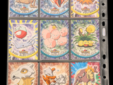 a lot of pokemon cards in a plastic holder
