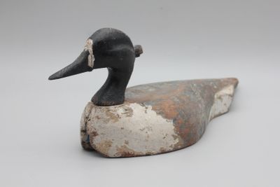 un canard perché sur un morceau de bois