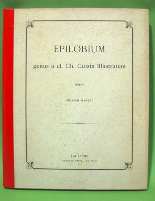 un vieux livre posé sur une surface verte, bordé d'un liseré rouge