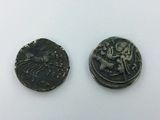two silver coins with a lion on them sitting next to each other