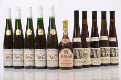 plusieurs bouteilles de vin sont alignées sur une surface blanche