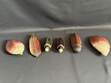 five seashells are lined up in a row on a table