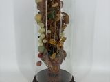 une cloche en verre contenant une plante