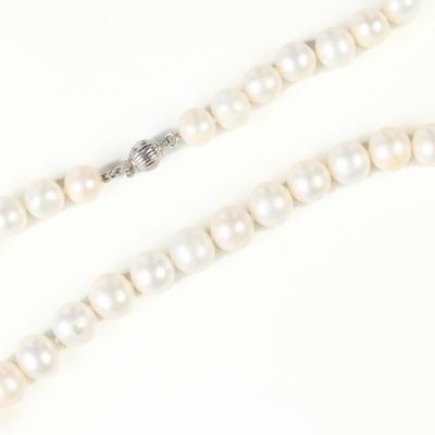 Collier de perles de culture choker (légèrement irrégulières… - Photo 1