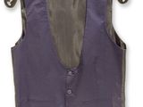 an image of a purple vest on a hanger