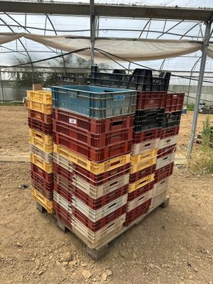 une grande pile de caisses dans une serre, recouverte d'une bâche