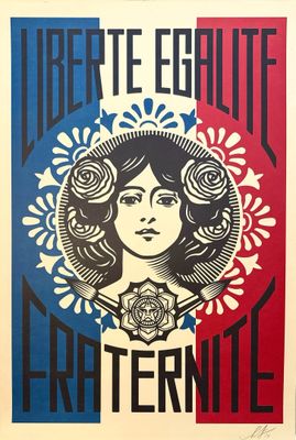an image of a poster with a woman ' s face on it